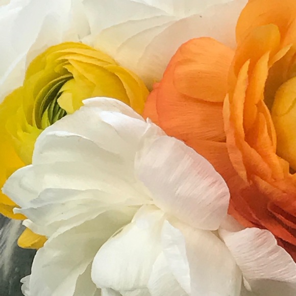 Meet your Posher, Aisha - Picture 8 of 12